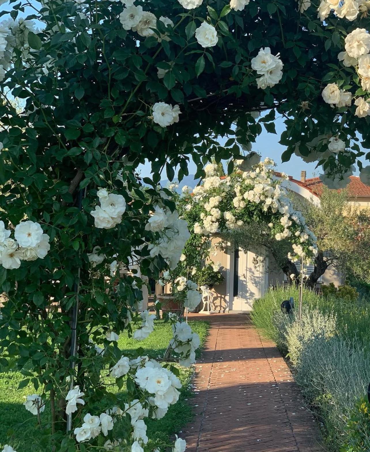 Casa Le Valli Cantagrillo エクステリア 写真